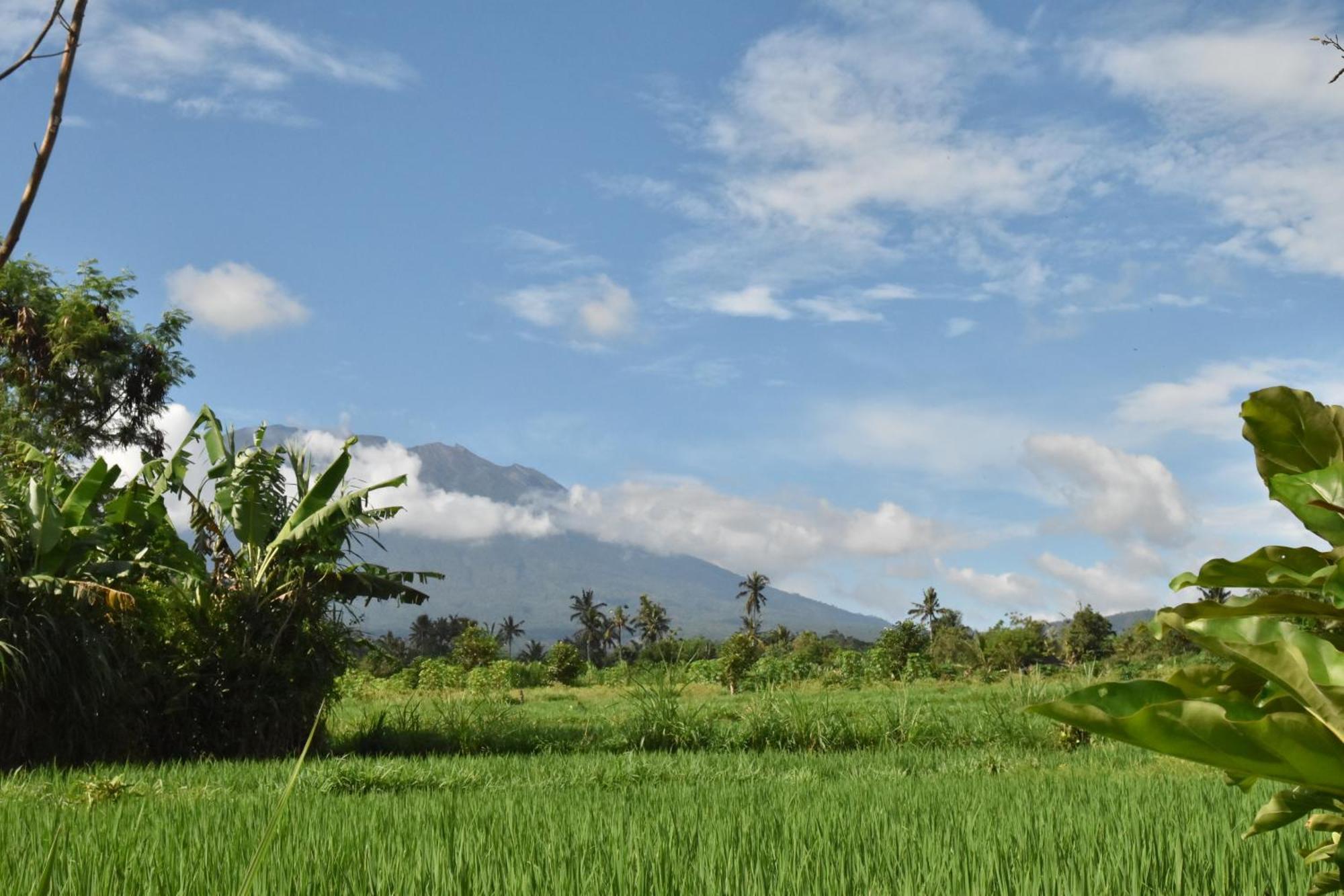 Graha Ayoe Lodge
