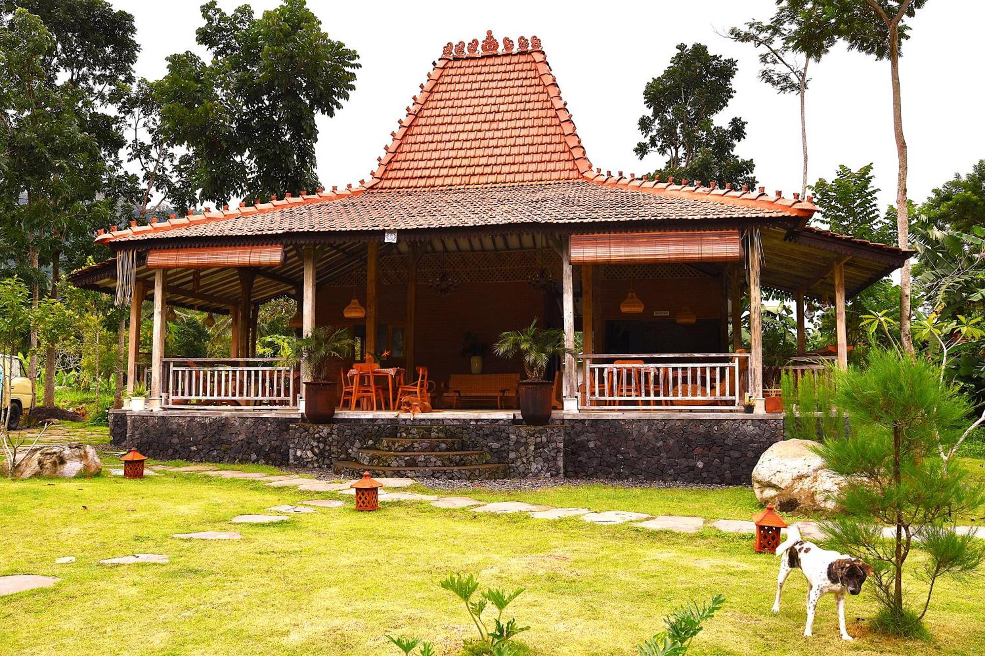 Lodge Graha Ayoe Sidemen (Bali)